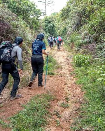🌿 Senderismo entre selva y neblina